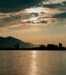 Gallery thumbnail 15