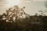 Gallery thumbnail 34