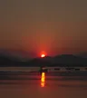Gallery thumbnail 38