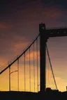 Gallery thumbnail 40